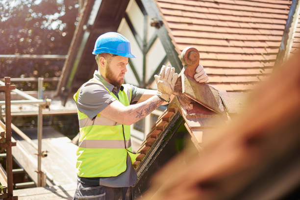 Best Metal Roofing Contractor  in Festus, MO